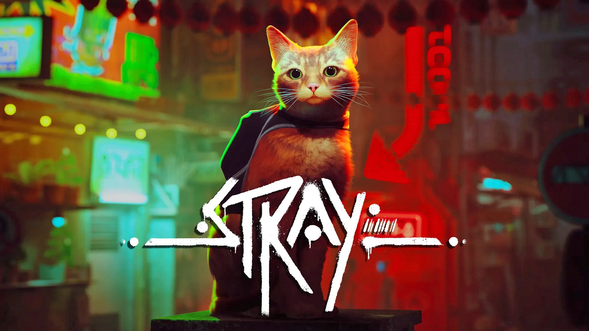 Stray trafi na Nintendo Switch w listopadzie