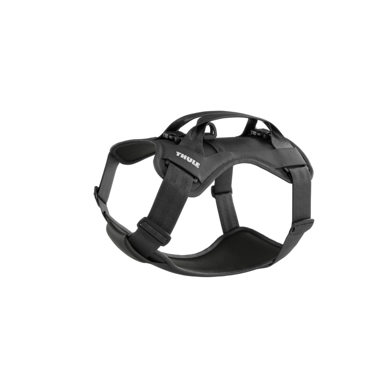 Thule Cappy